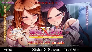 Big tits and hard work: Sister X Marionettes trial ver